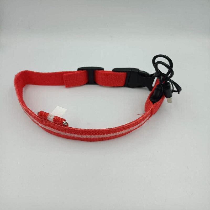 Collier LED Rechargeable USB - Pour Chiens