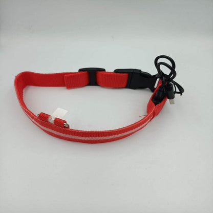 Collier LED Rechargeable USB - Pour Chiens
