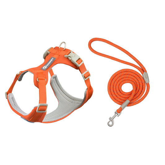 WAOPET - Ensemble Harnais et laisse Anti-Traction avec bandes réfléchissantes pour Chiens et Chats - Tropical Orange