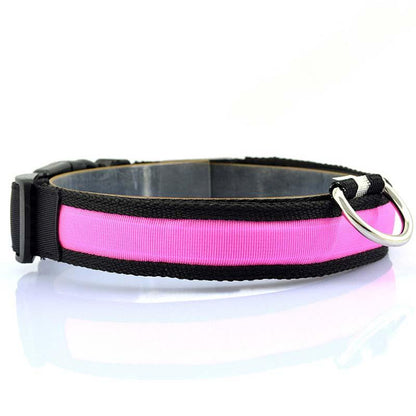 Collier en nylon pour chien et chat, lumière DEL, sécurité nocturne, flash lumineux