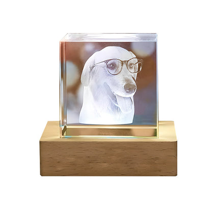 Halloween Christmas Photo Custom Pet Crystal Inside Carving Creative Gift Decorative Lamp Birthday Gift Living Room Bedroom