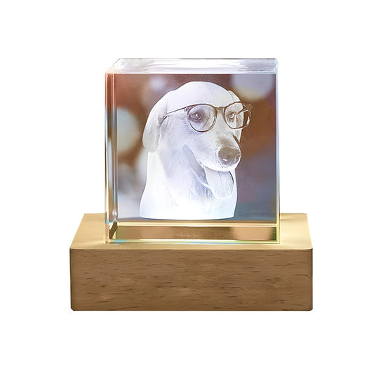 Halloween Christmas Photo Custom Pet Crystal Inside Carving Creative Gift Decorative Lamp Birthday Gift Living Room Bedroom