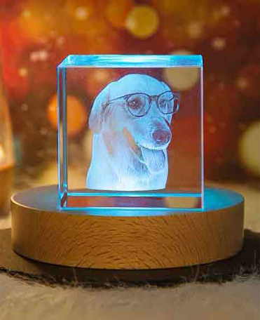 Halloween Christmas Photo Custom Pet Crystal Inside Carving Creative Gift Decorative Lamp Birthday Gift Living Room Bedroom