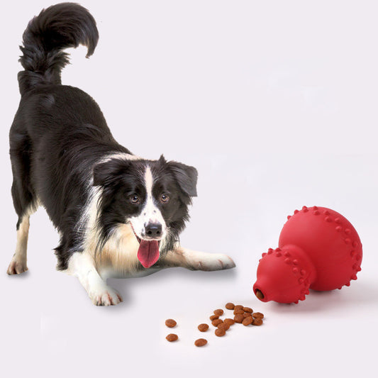 Jouet éducatif Gong pour chien en caoutchouc naturel, anti-étouffement