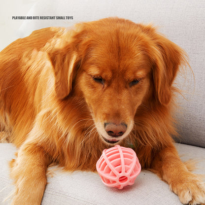 Dog Toy Pet Bite Resistant Molar To Relieve Boredom Toy TPR Leakage Ball Funny Training Teeth Cleaning Rubber Ball