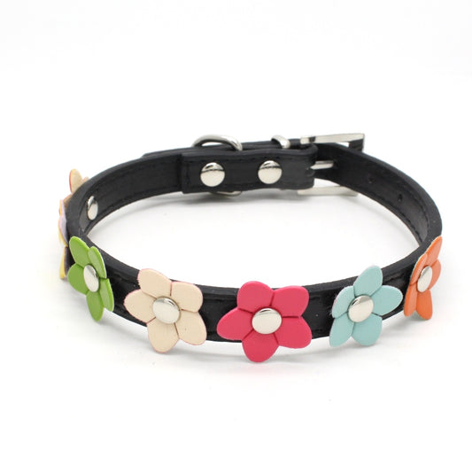 Colliers Chiens - Colorés à Fleurs - Noir