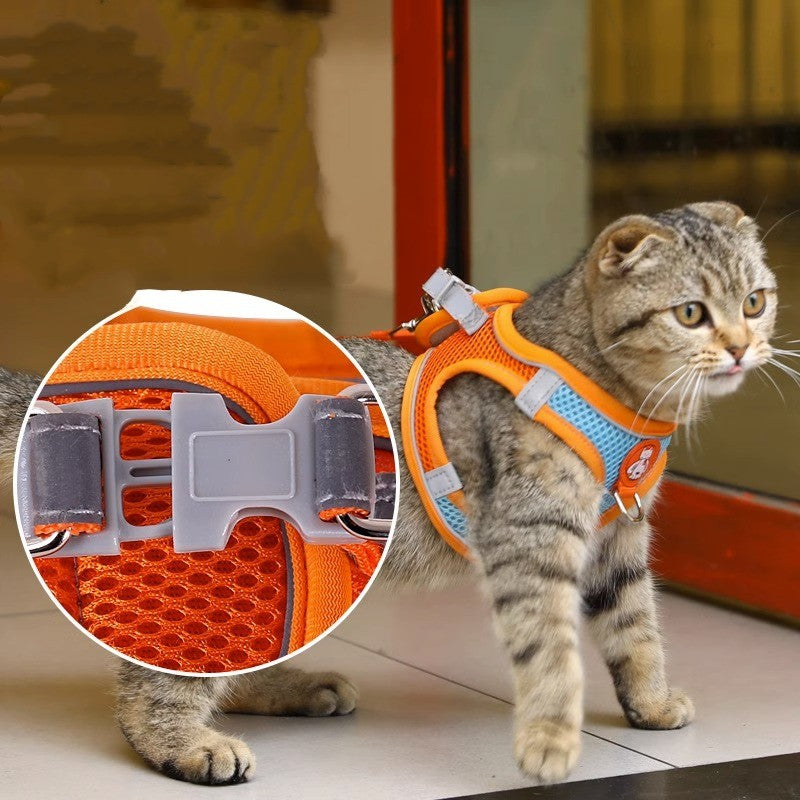 Harnais et laisse réfléchissant pour chat anti-desserrage pour une sécurité optimale