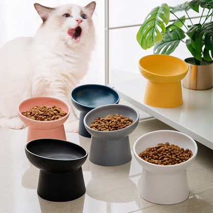 Élégant Bol en céramique à pied haut surélevé anti-renversement design unique pour chats et petits mammifères