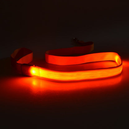Pet Leash LED Light-Emitting Dog Leash 120CM Length 6 Colors