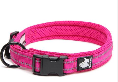 TrueLove - Collier Nylon réfléchissant - Chien - Rose