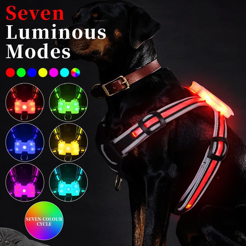 Harnais, Gilet de promenade nocturne anti-traction pour chien, taille L, M et S, avec sangle de poitrine lumineuse à DEL