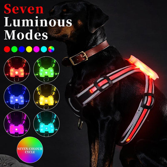 Harnais, Gilet de promenade nocturne anti-traction pour chien, taille L, M et S, avec sangle de poitrine lumineuse à DEL