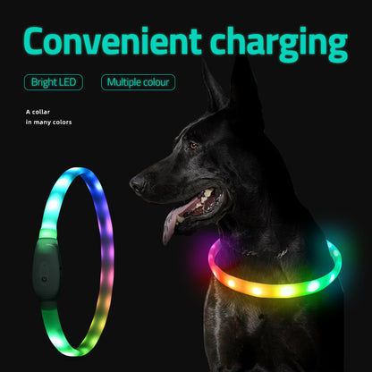 Collier lumineux à DEL et recharge USB