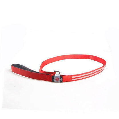 Laisse LED Rechargeable USB pour Chiens et Chats - Fibre Optique Double - Sécurité Nocturne