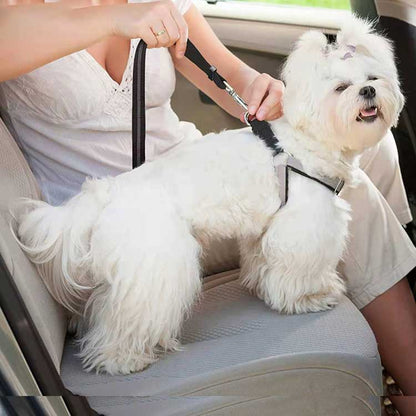 Ceinture de Sécurité pour Chien en Voiture - Laisse Robuste en Nylon Réglable