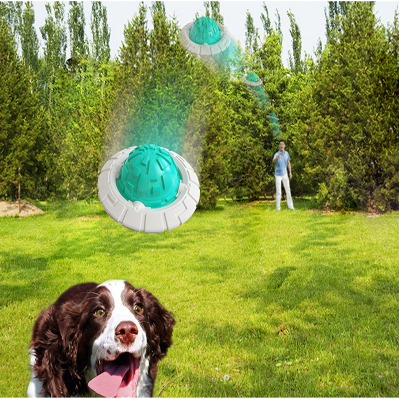Jouet Flottant Interactif pour Chien - Frisbee Sonore pour Dentition et Jeux d'Eau
