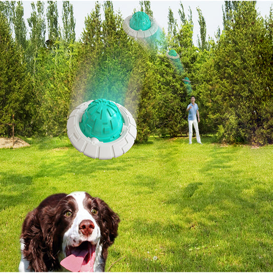 Jouet Flottant Interactif pour Chien - Frisbee Sonore pour Dentition et Jeux d'Eau