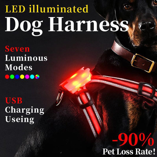Harnais, Gilet de promenade nocturne anti-traction pour chien, taille L, M et S, avec sangle de poitrine lumineuse à DEL