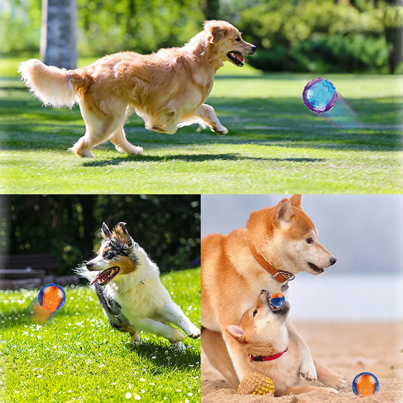 HOOPET - Super Balle Amusante
