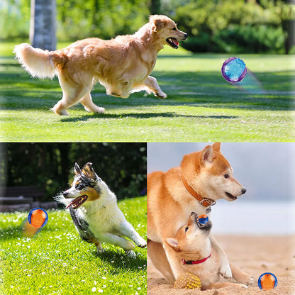 HOOPET - Super Balle Amusante