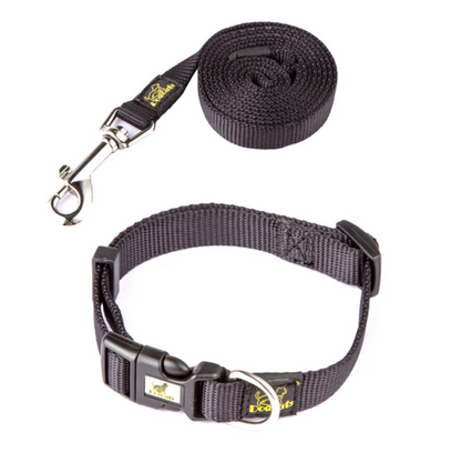 DOGCAT - Ensemble - colliers et laisses en nylon - 4 Couleurs