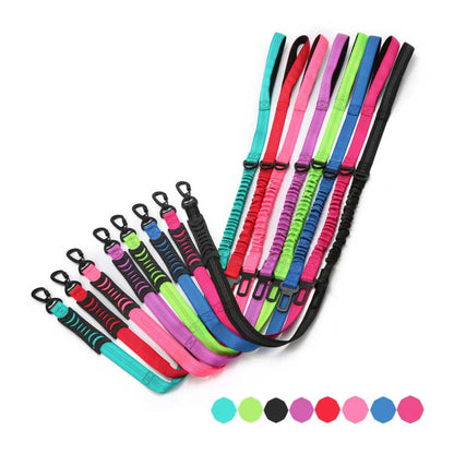 Ceinture de Sécurité pour Chien en Voiture - Laisse Robuste en Nylon Réglable