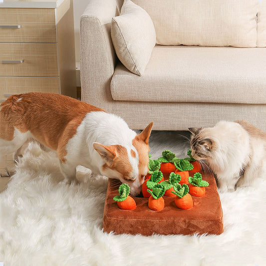 Tapis de Fouille Carottes en Folies - 22cm x 22cm - 35cm x 35cm