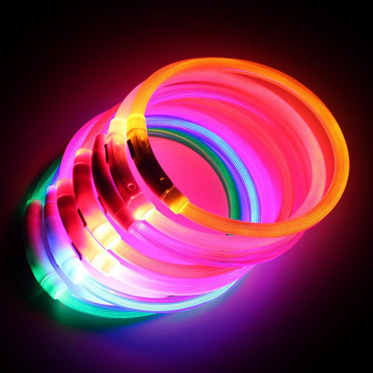 Collier pour chien rechargeable par USB, tube DEL clignotant, lumineux, pour la nuit, Anneau de cou lumineux