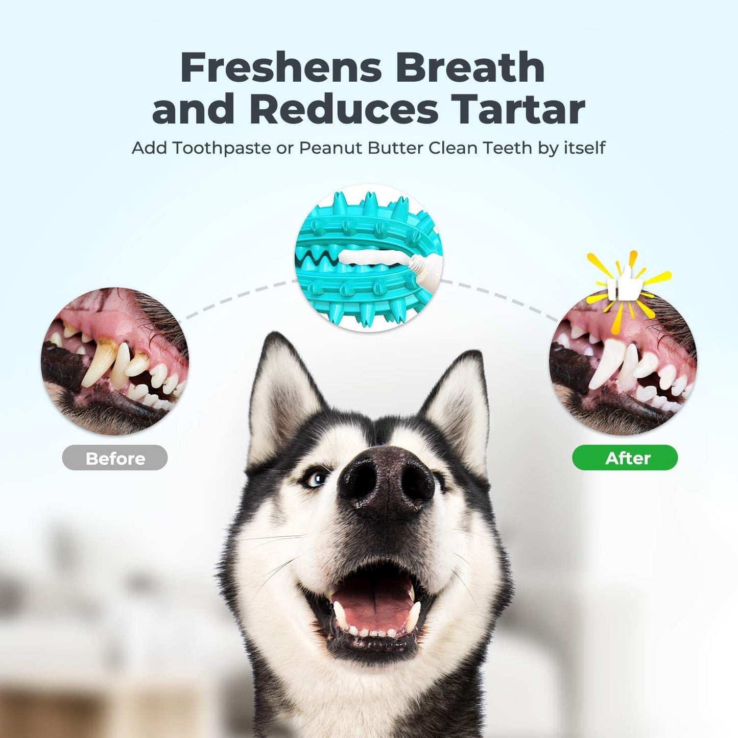 Jouet à mâcher, bâton molaire pour chien