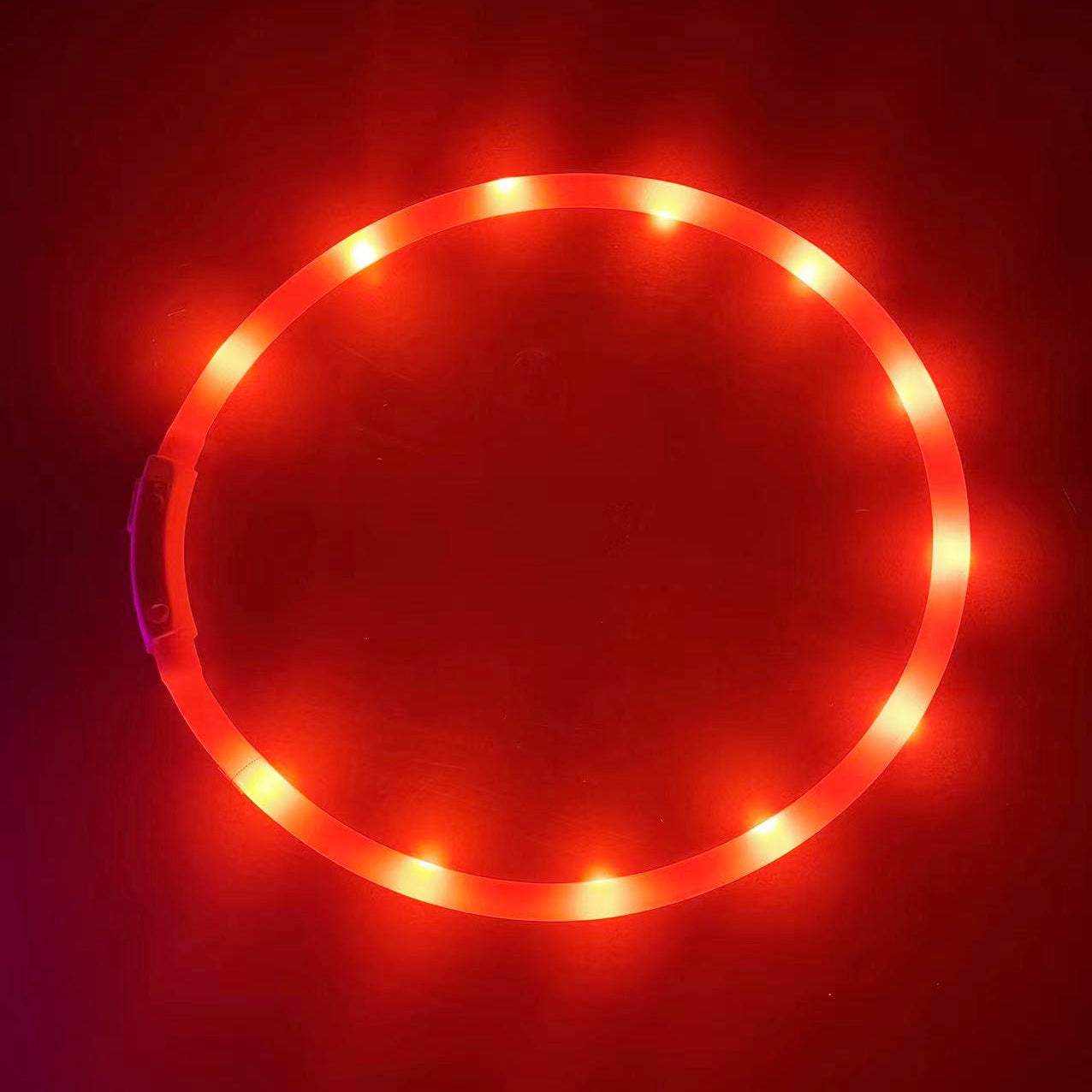 Collier Lumineux LED Rechargeable USB pour Chien - Sécurité Maximale la Nuit