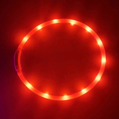 Collier Lumineux LED Rechargeable USB pour Chien - Sécurité Maximale la Nuit