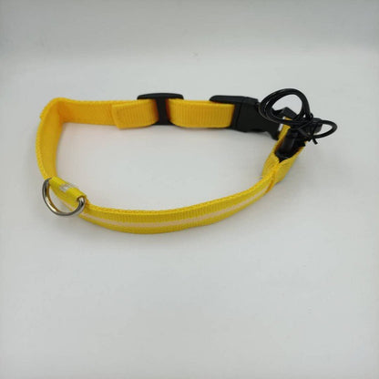 Collier LED Rechargeable USB - Pour Chiens