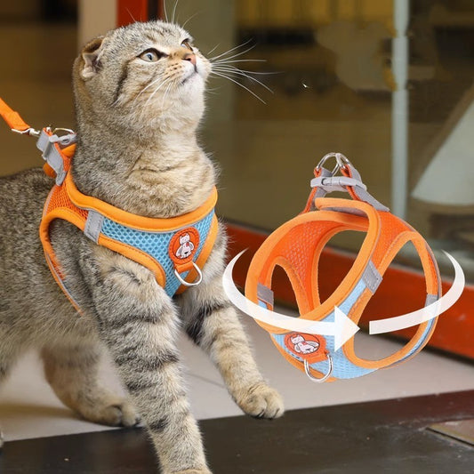 Harnais et laisse réfléchissant pour chat anti-desserrage pour une sécurité optimale