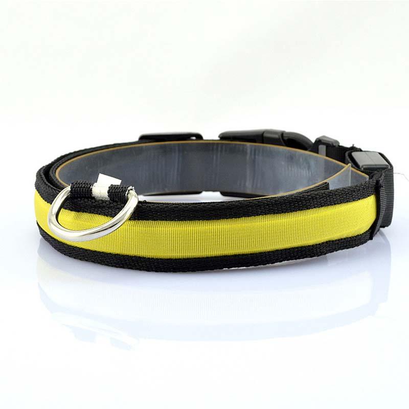 Collier en nylon pour chien et chat, lumière DEL, sécurité nocturne, flash lumineux