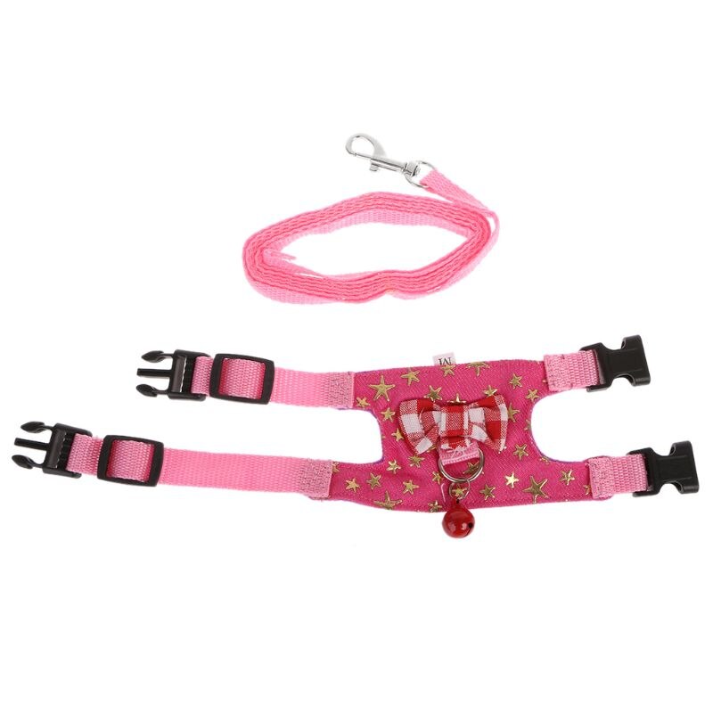 Harnais et laisse pour petit animal de compagnie, hamster, lapin, furet, cochon d'Inde,