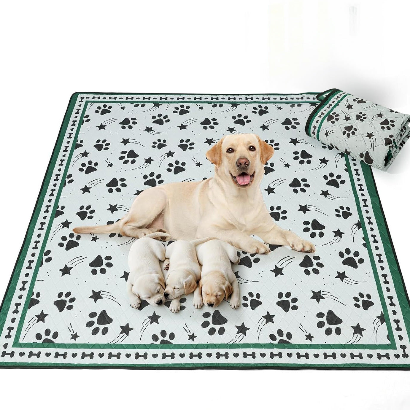 Scandinavian Minimalist Carpet Pet Mat, Stain-Resistant and Easy to Clean Sofa Coffee Table Mat, Urine-Proof Cat and Dog Pad
