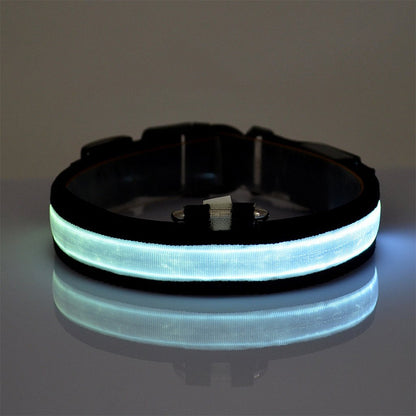 Collier en nylon pour chien et chat, lumière DEL, sécurité nocturne, flash lumineux