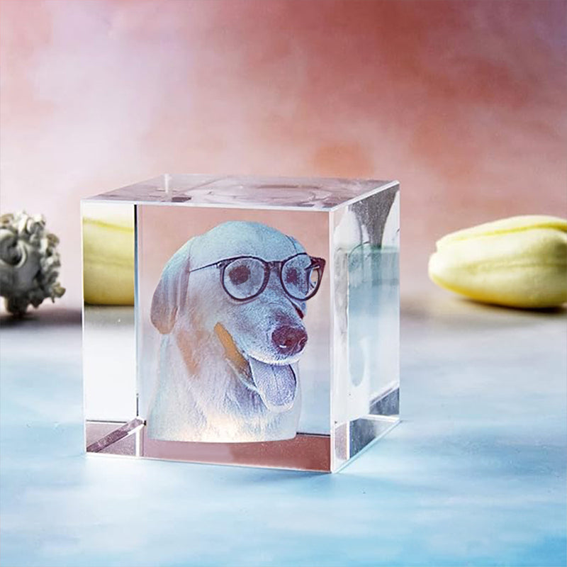 Halloween Christmas Photo Custom Pet Crystal Inside Carving Creative Gift Decorative Lamp Birthday Gift Living Room Bedroom