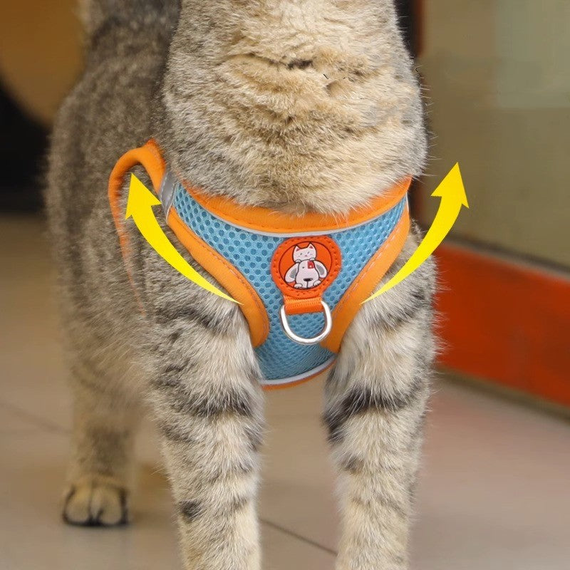 Harnais et laisse réfléchissant pour chat anti-desserrage pour une sécurité optimale