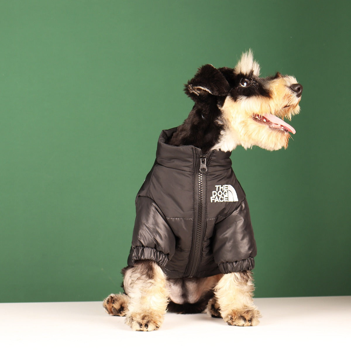 Manteau d'Hiver Coupe-Vent pour Chien et Chats - Veste Matelassée Chaude - Tailles Petites et Moyennes