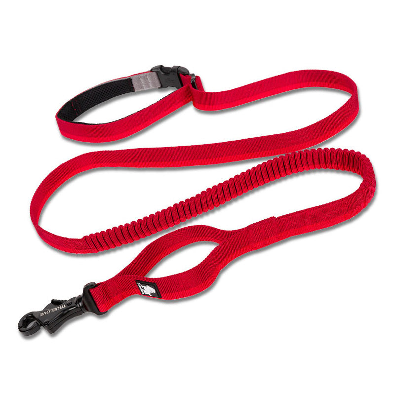 Laisse Élastique pour Chien avec Ceinture Mains Libres - Idéale Course et Activités Extérieures