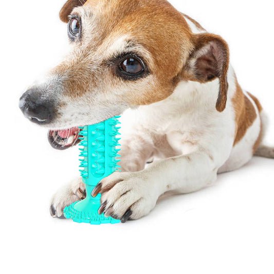 Suction Cup Sound Dog Toy Bite Resistant Molar Stick Dog Toothbrush Pet Supplies
