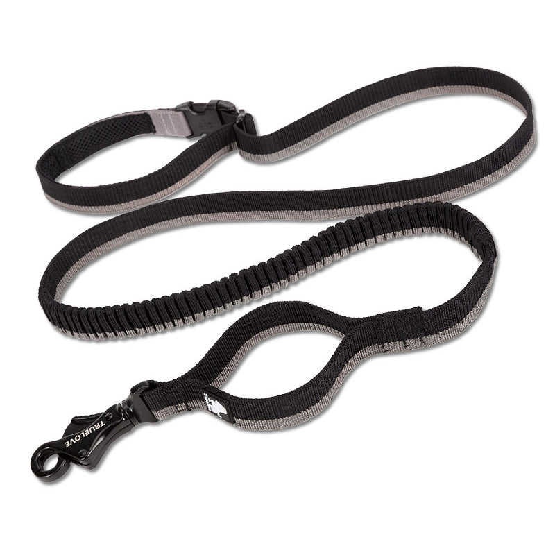 Laisse Élastique pour Chien avec Ceinture Mains Libres - Idéale Course et Activités Extérieures