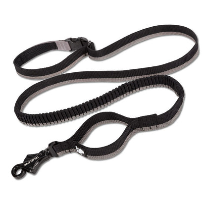 Laisse Élastique pour Chien avec Ceinture Mains Libres - Idéale Course et Activités Extérieures