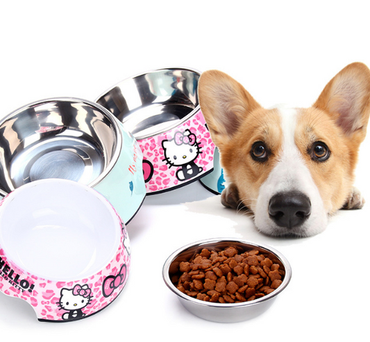 Gamelles avec motifs en acier inoxydable et Plastique 2 en 1 pour chiens, chats et petits mammifères