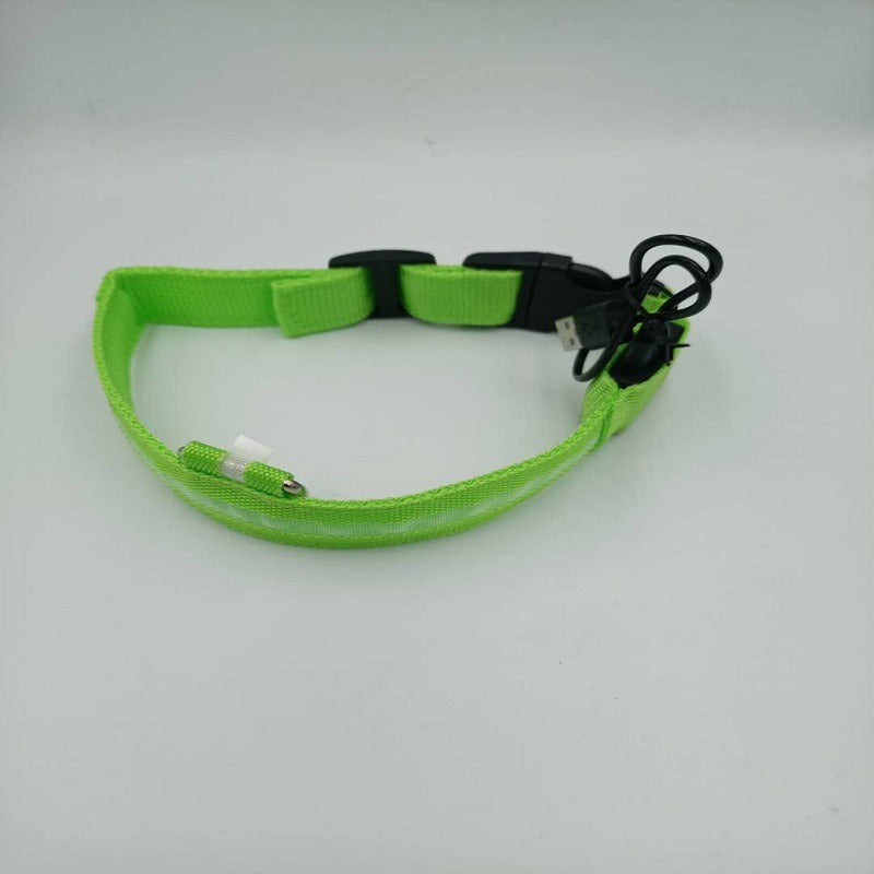 Collier LED Rechargeable USB - Pour Chiens