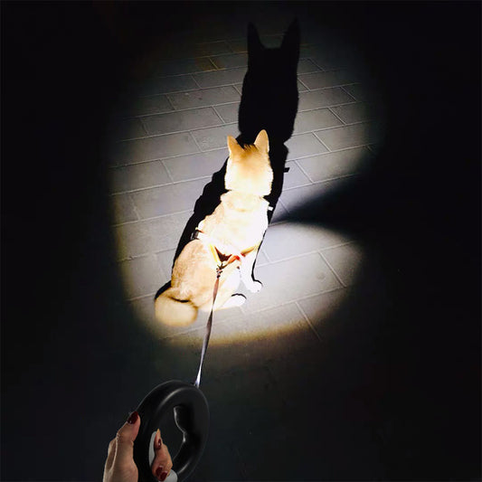 Nouvelle laisse rétractable automatique pour chien avec lumière DEL