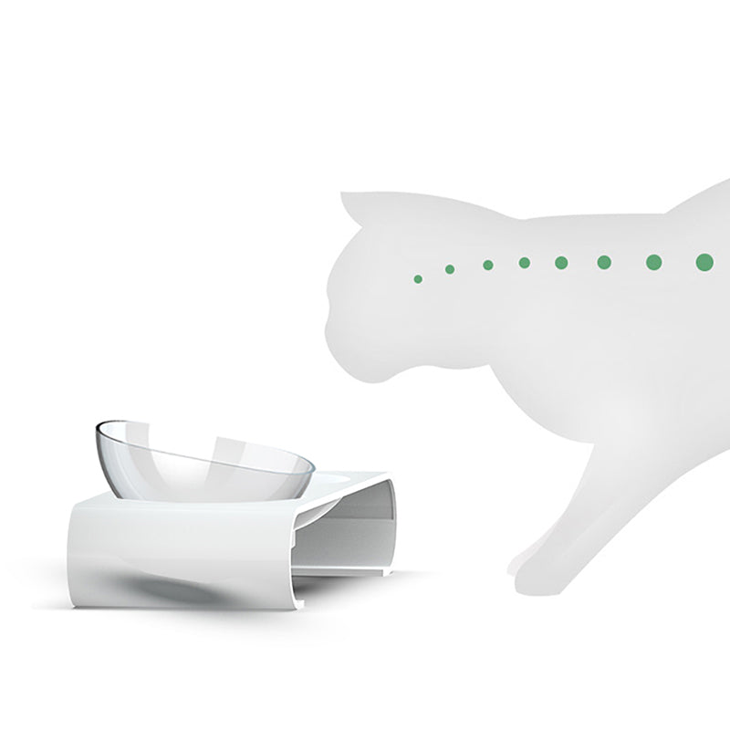 Cat Bowls