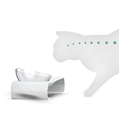 Cat Bowls