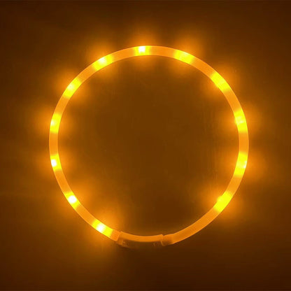 Collier Lumineux LED Rechargeable USB pour Chien - Sécurité Maximale la Nuit